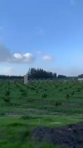 The video shows a field of green grass and small plants. In the background, there are trees and buildings. The sky is blue with white clouds. The camera is moving. It is daytime.
