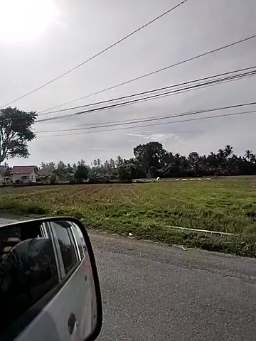 The video shows a view from inside a moving vehicle, looking out the side window. The camera is pointed sideways, so the scene appears to be oriented vertically. There are power lines running across the sky on the left side of the frame. A tree with green leaves is visible below the power lines. To the right of the tree is a field with dry grass and some green patches. Further in the distance, there are more trees and a building with a white and pink facade. The road surface is visible on the far right, appearing wet. The sky is overcast. The side mirror of the vehicle is visible in the bottom right corner of the frame.