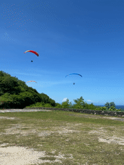 Morning beach recreation and nature observation in Bali