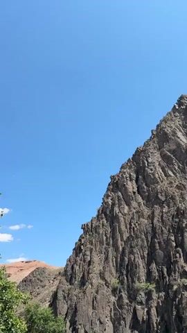 A vertical video captures a view of a wide, muddy river flowing through a rocky canyon under a clear blue sky. The camera pans slightly to the right, showcasing the sheer, rugged rock faces that rise on either side of the river. Small patches of green vegetation are visible clinging to the lower parts of the canyon walls and along the riverbank. The water appears turbulent in places, indicating a strong current. The overall scene depicts a natural, wild landscape.