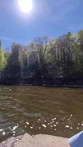 The video shows a lake or river with trees along the banks. The water is dark and there are some white patches on the surface, potentially bubbles or foam. The sun is shining brightly in a clear blue sky. The camera appears to be positioned on a concrete or stone structure, and the view widens to show more of the water and shoreline. There are no people visible in the video.