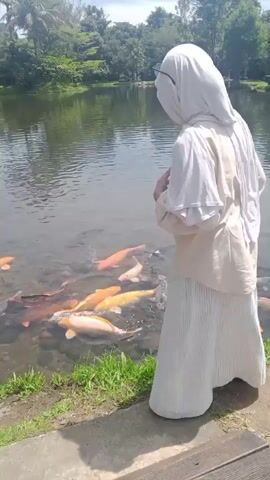 A person wearing a white hijab and a cream-colored outfit stands on a pathway next to a pond. The person is facing away from the camera, looking into the pond. Several koi fish, in shades of orange, white, and black, swim in the shallow water near the edge of the pond. The pond is surrounded by lush green grass and trees. The day appears to be sunny.
