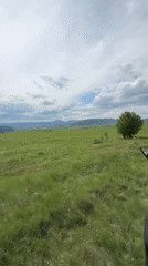 Motorcyclist rides through field near Breznik, Bulgaria