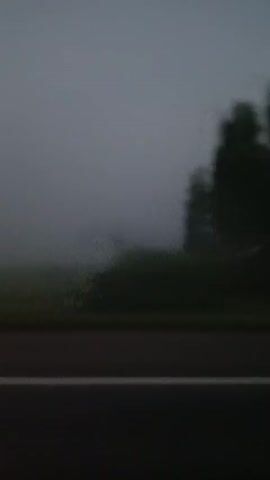 The video shows a blurry, grey, and dark scene that appears to be filmed from a moving vehicle. The foreground features a dark road with a white line. Beyond the road, there is a field, and in the distance, there are trees that are blurred due to motion. The overall impression is one of a foggy or overcast day, possibly at dusk or dawn, with limited visibility. No people or specific objects are clearly discernible.