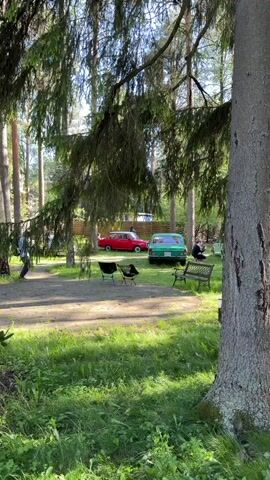 The video shows a wooded area with two vintage cars, a red car, and a green car, parked on a grassy area. Several chairs are arranged nearby. A man in sunglasses and a cap is standing beside the red car. The area is surrounded by trees and a wooden fence. Someone is crouching down taking pictures. The trees provide shade over the cars and the chairs.