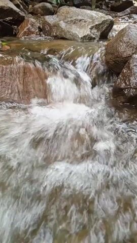 The camera faces a small, shallow stream cascading over rocks. The water is clear but appears frothy from the rapids. The rocks are smooth and vary in size, some are wet and shiny. The environment appears natural and wooded.