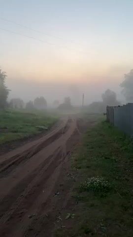 The video shows a dirt road in a rural setting at dawn or dusk. A thick fog hangs over the landscape, obscuring distant trees and houses. The road has tire tracks from vehicles. The sky is a soft pink and yellow, indicating the time of day. The overall atmosphere is peaceful and serene.