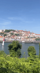 Red Bull Air Race over the Douro River, Porto