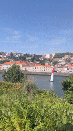 Red Bull Air Race over the Douro River, Porto