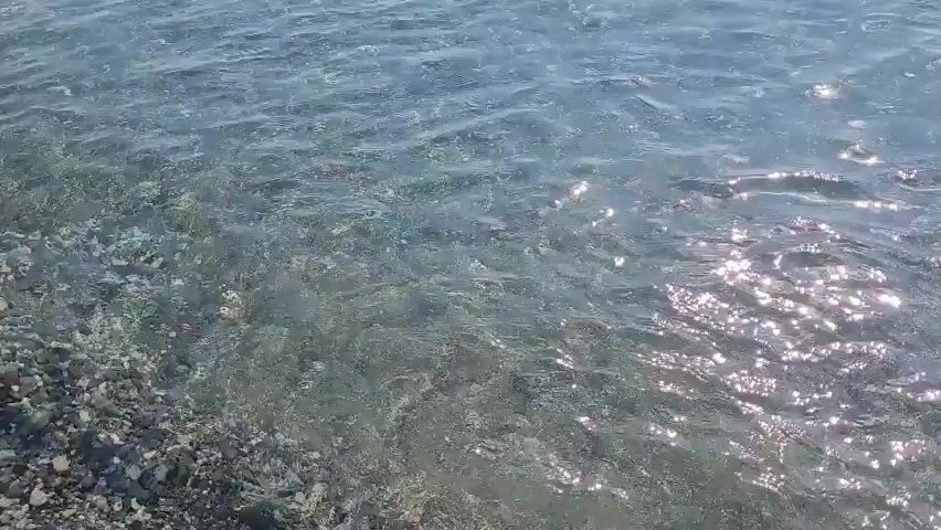 The video shows a close-up view of shallow, clear water flowing over a rocky bottom. Sunlight glints off the surface of the water, creating shimmering patterns. The rocks beneath the water are varied in size and color, appearing to be mostly smooth and rounded. The water appears to be moving gently, causing a slight distortion of the rocks below.