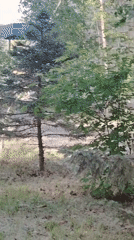 Early morning outdoor scenes documented in Pavlodar, Kazakhstan