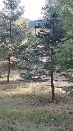 Early morning outdoor scenes documented in Pavlodar, Kazakhstan