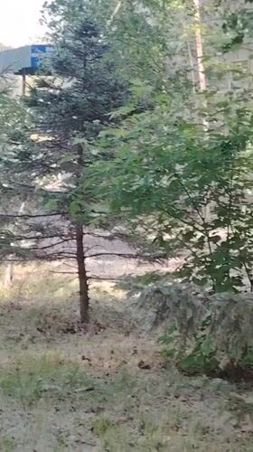 Early morning outdoor scenes documented in Pavlodar, Kazakhstan