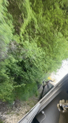 Train passenger films green landscape near Veliko Tarnovo, Bulgaria