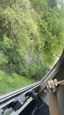 Train passenger films green landscape near Veliko Tarnovo, Bulgaria