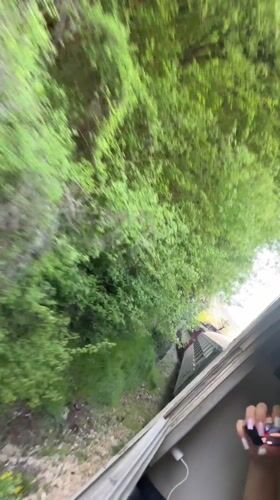 Train passenger films green landscape near Veliko Tarnovo, Bulgaria