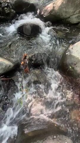 A shallow, fast-flowing stream winds through a rocky, wooded area. The water rushes over smooth, grey stones of various sizes. Sunlight filters through the trees, creating dappled patterns on the water and rocks. Green foliage and dry leaves are visible along the banks. The camera is positioned low, looking downstream. The video is shot in portrait orientation.