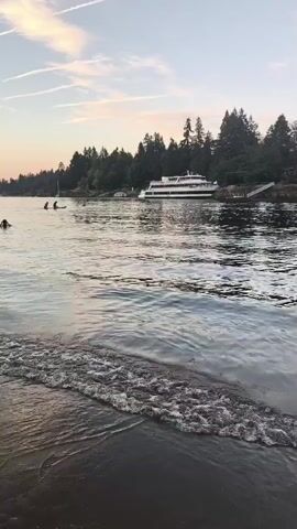 The video shows a calm body of water, likely a lake or bay, with a shoreline lined with tall evergreen trees. The sky above is a soft blend of blue and pink, indicating either sunrise or sunset. In the middle ground, a large, white passenger boat with green accents is docked near a wooden pier. There are a few smaller boats visible, including a white one near the larger boat and two people on paddleboards further out on the water. The water in the foreground is dark and reflects the sky, with small waves gently lapping at the shore. The overall atmosphere is peaceful and serene.