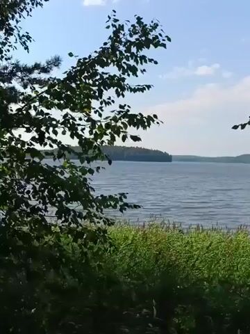 A wide shot shows a lake with a forested island in the distance. In the foreground, there are trees with green leaves and tall grass. The sky is blue with scattered clouds. The camera slowly pans to the right, revealing more of the lake and the distant shoreline.