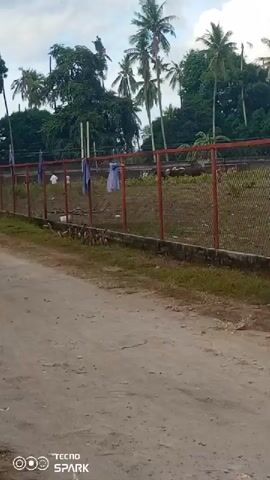 The video shows a dirt road alongside a fenced-in area. In the fenced area, there are several animals, possibly sheep or goats, grazing on sparse vegetation. Palm trees and other lush greenery are visible behind the fence, suggesting a tropical or subtropical environment. A few pieces of clothing are hanging on the fence, and some debris is scattered on the ground. The sky is overcast.