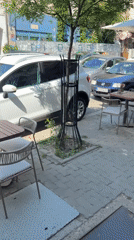 Morning cafe life documented at Visnja Cafe in Kragujevac