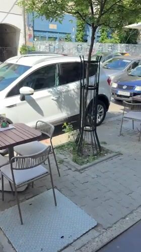 Morning cafe life documented at Visnja Cafe in Kragujevac