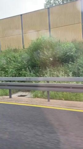 The video shows a moving perspective from a vehicle traveling on a road. A metal guardrail runs along the side of the road, separating it from a vegetated embankment. Beyond the embankment, a tall, beige sound barrier with vertical ribbed panels is visible. The sound barrier is partially obscured by lush green trees and foliage. The road appears wet, indicating recent rain, and a yellow line marks the edge of the lane. The sky is overcast.