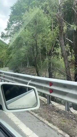 The video shows a car driving on a winding road, with a view of a river and a forest visible from the driver's perspective. The sky is overcast, and the trees are lush and green. A concrete retaining wall is visible along the roadside. The car has a parking permit affixed to the windshield.