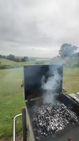 A grill smolders in a green backyard, with a view of rolling hills under a cloudy sky. The person grilling pokes at the coals with a tool. A variegated holly bush appears in the foreground.
