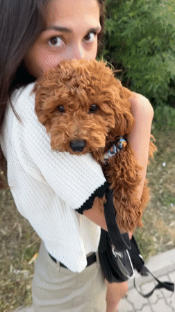Woman with poodle spotted in Sutomore, Montenegro