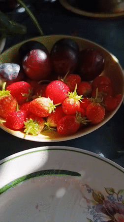 Late summer harvest morning in rural Vereya — food, honey, and garden blooms