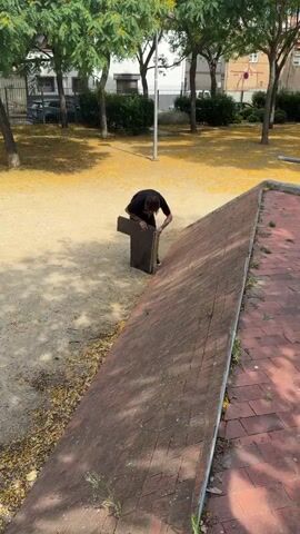 A person with tattoos on their arms is partially visible in a park. They are bending over and holding a dark, flat object that appears to be broken. The object has a wooden edge. The ground is covered in dirt and yellow leaves. In the background, there are trees and a brick wall. The person is wearing a black t-shirt and black pants.
