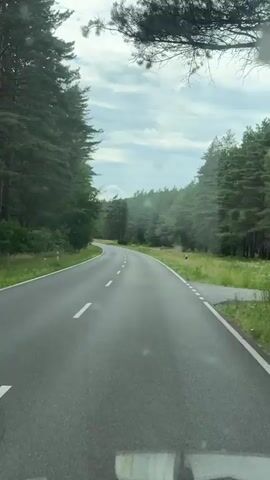 The video shows a first-person perspective of driving on a winding asphalt road through a dense forest. Tall, dark green pine trees line both sides of the road, creating a natural tunnel effect. The road is marked with white dashed lines, indicating lanes. The sky above is cloudy with patches of blue peeking through, suggesting an overcast day with intermittent sun. The overall mood is serene and peaceful, evoking a sense of journey and immersion in nature. There are no people or visible objects other than the road, trees, and sky. The location is identified as Poczernin, Poland. There are no visible text elements in the video.