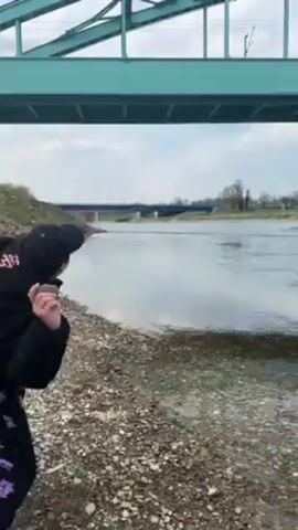 The video shows a person throwing something into a river. A medium-sized dog runs into the water in pursuit of the thrown object. The dog emerges from the water with a stick in its mouth and returns to the pebbled shoreline, where it is walking. The scene takes place near a river with a bridge in the background and a second bridge over the observer. The day is overcast.