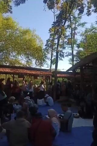 The video shows a gathering of people outdoors, likely in a rural or natural setting. A group of individuals is seated on blue tarps in the foreground, facing a covered open-air structure in the background. This structure appears to have a thatched roof and is supported by wooden posts. Behind the structure, a dense stand of bamboo is visible, with sunlight filtering through the leaves. Tall trees with green foliage are also present on the right side of the frame, and the sky is clear and blue. The people in the foreground are casually dressed, and some are wearing headscarves, suggesting a mix of genders and ages. Some individuals are looking towards the structure, while others are engaged in conversation. The overall atmosphere appears relaxed and social, possibly a community event or a casual meal. The lighting suggests it is daytime, likely morning or afternoon.