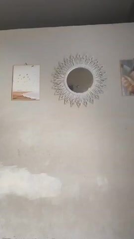 The video pans across a living area. The first shot shows a wall with a framed picture and a decorative mirror. The second shot shows a television, a fan, plants on shelves, and a doorway. The third shot shows a corner shelf with plants and a television stand. The fourth shot shows a window with a bicycle visible outside. The camera is mostly static but moves slightly between shots. The lighting appears to be natural daylight. The environment seems to be a home.