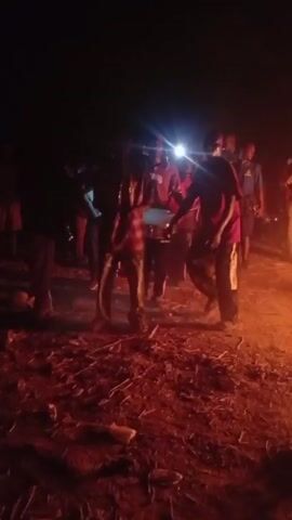 A group of people gathered around a fire in the dark are playing music and dancing. There is a small drum, a trumpet, and other instruments. The ground is dirt with sparse vegetation. The firelight casts orange-red highlights on the people and the ground. The video is somewhat shaky.