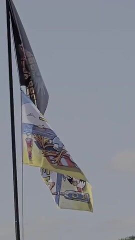 The video shows two flags attached to a flagpole against a pale sky. The top flag is black and partially obscured by the lower flag. The lower flag is white and features a cartoon of a bird character lying on a beach towel. The bird is wearing sunglasses and appears to be relaxing. The flag also has text that reads "Endlich wieder SOMMER!" (Finally, summer again!). To the left of the bird is a large, red-and-yellow cup with a straw, and to the right is a bottle with a blue label and a cap. The flags are swaying in the wind.
