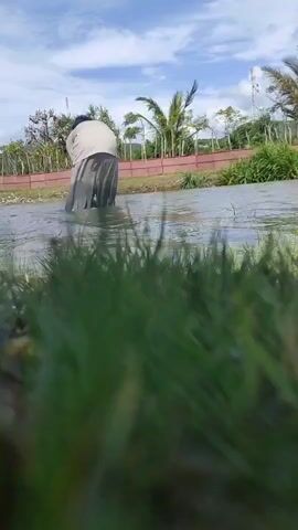 A person is seen from the back, partially submerged in a shallow body of water. They are wearing a light-colored head covering or top and a dark, wet, full-length garment. The individual is bent forward with their arms submerged in the water, seemingly engaged in an activity. In the foreground, out-of-focus green foliage is visible. The background features various trees, including palm trees, some distant structures or fencing, and a bright blue sky with white clouds.