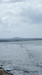 A well-equipped beach with water sports, gear, and coastal life
