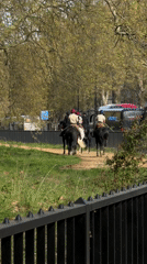 Five riders on horseback traverse London park path