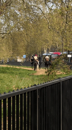 Five riders on horseback traverse London park path