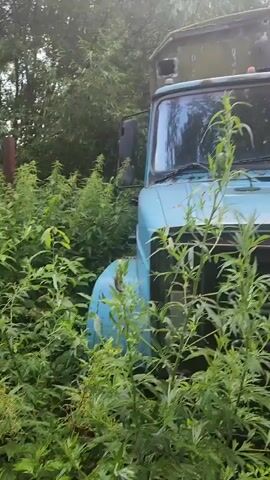 The video shows the front of a faded blue truck partially obscured by overgrown green plants. The truck appears old and possibly abandoned. Sunlight filters through the trees, creating dappled light. The camera pans slightly across the front of the truck, revealing a grille and part of the windshield. No people or animals are visible. The environment is lush and natural, suggesting an outdoor setting that has been left untended for some time.