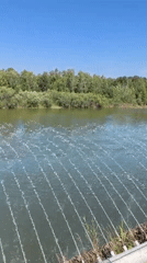 Summer afternoon along the Angarsk riverfront