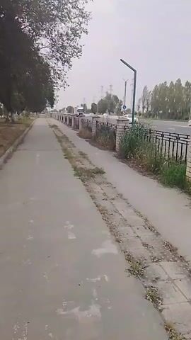 The video shows a sidewalk next to a road with passing vehicles. A line of black metal fencing separates the sidewalk from the road, with some brick sections interspersed. Weeds grow near the fence and between the cracks in the sidewalk pavement. A large tree stands at the start of the sidewalk, and light poles are present. The sky is overcast. Cars and a white truck are visible driving on the road. The video seems to be taken from a stationary position on the sidewalk.