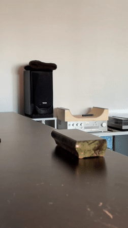 Relaxed morning with pet dog and fingerboard tricks in Yekaterinburg