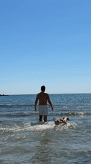Man and dog enjoy sunny beach day in Montenegro