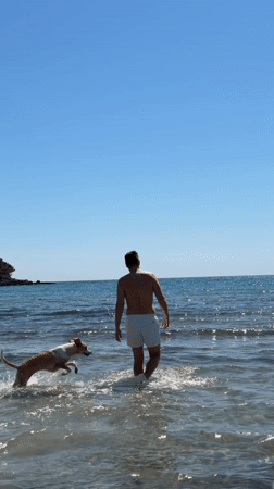 Man and dog enjoy sunny beach day in Montenegro