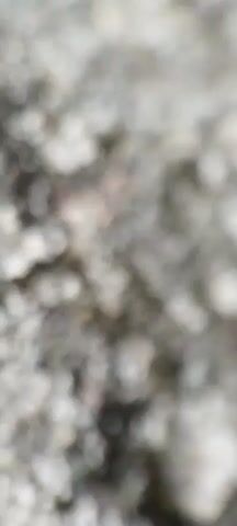 A close-up, blurry video shows textured gray and white surfaces, possibly lichen on tree bark or a rough stone wall. The lighting is diffused, creating soft bokeh effects throughout the footage. There are no discernible people, objects, or actions taking place. The environment appears to be outdoors due to the natural textures.