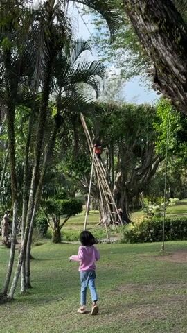The media file shows an outdoor scene in a park-like setting, likely in Tempurejo, Indonesia, given the lush vegetation. The time of day appears to be daytime, with ample sunlight casting shadows, suggesting a clear or partly cloudy sky. The overall atmosphere is peaceful and serene.

The central focus is a tall bamboo structure, resembling a makeshift ladder or scaffolding, erected against a large, mature tree with thick, gnarled roots. A person, wearing an orange shirt and dark pants, is climbing or working on this bamboo structure, positioned quite high up in the tree. Another person, wearing a conical hat and dark clothing, is seated at the base of the tree, leaning against the bamboo structure. Two young children, one in a pink hoodie and jeans, the other in a striped shirt and jeans, are visible in the foreground, walking on a grassy lawn. Their presence suggests a recreational or family outing.

The setting is characterized by abundant greenery, including tall palm trees, lush bushes, and dense foliage of the large tree. The ground is covered in well-maintained grass, indicating a park or garden. The natural environment appears dominant, with the bamboo structure and people integrated into it. There is no visible text in the media file. The activity appears to be related to maintenance or harvesting in the tree, with the person climbing and the seated individual possibly assisting or supervising. The presence of children suggests a safe and family-friendly environment.